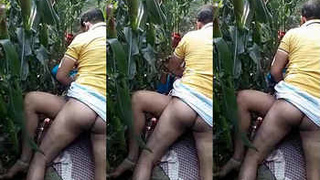 Indian wife has outdoor sex with lover in cornfield during the day