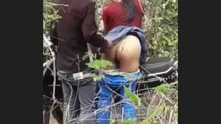Couple having sex in a wooded park