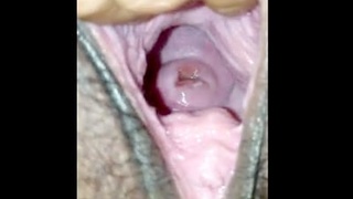 A seductive Bengali beauty reveals her large pussy in a steamy video