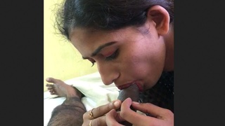 Professional woman performs oral sex and gives a blowjob in videos