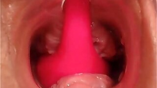 Esto es lo que sucede dentro de la panocha con los vibradores de webcams