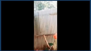 Indian matron from village takes sensual bath