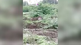 Voyeur captured Aunt Desi peeing in greenery in XXX video MMS