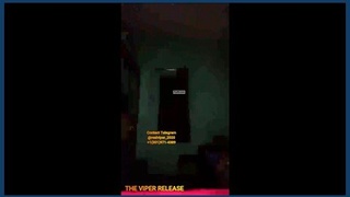 Shanaya Princess in action on Tango, March 25, 2021