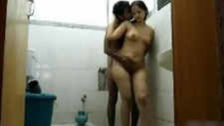 Passionate couples engage in intimate encounters in restroom