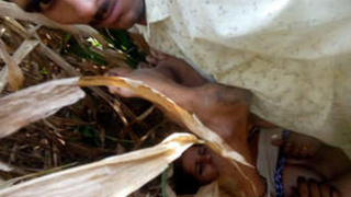 A fiery duo engages in intimate activities amidst the wilderness of a jungle