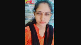 Hidden cameras capture Telugu housewives' nude video calls