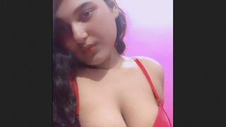 Meenu and friends in a seductive Indian video