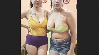 Two stunning women show off their large breasts