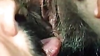 Caged and chained whores get wild in the desert